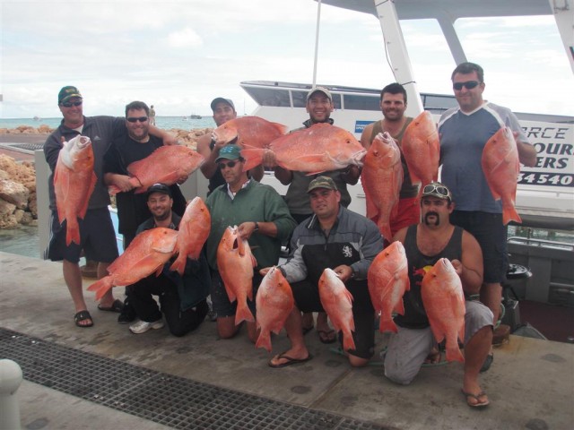 Coral Bay Reds